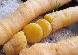 carottes jaunes