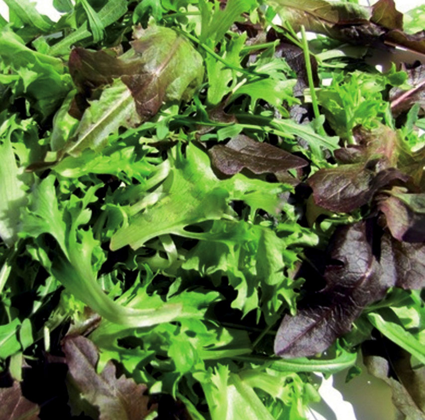 Mesclun