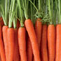 Mini-carotte