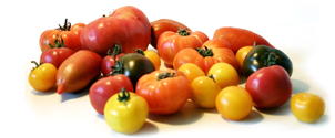 tomates-assortiment