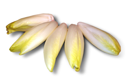 Mini-endive