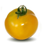 yellow-perfect